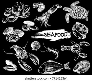 Set of hand drawn sketch style seafood. Vector illustration isolated on black background.