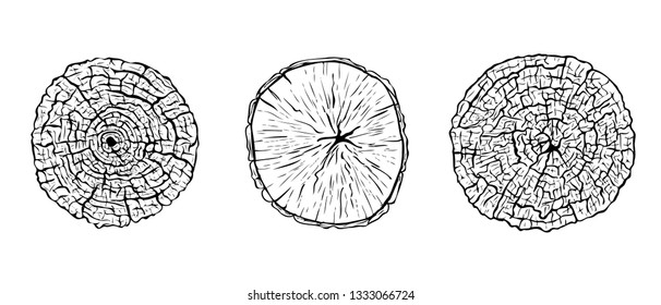 Set of hand drawn sketched cut tree trunks with annual rings. Black and white vector illustration of wood texture