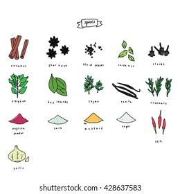 Set of hand drawn sketches of different kinds of spices. Vector freehand illustration isolated on white background.