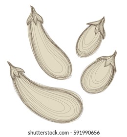 Set of hand drawn sketches of eggplants over white background