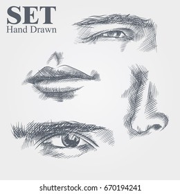 Set of Hand drawn sketches of face parts, nose, eyes, Eyebrows and mouth vector illustration isolated on white background.