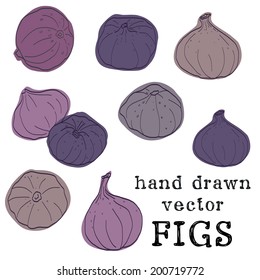 Set of hand drawn sketchy figs. Summer fruit set isolated on white background.