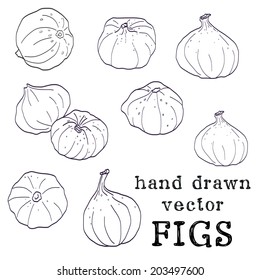 Set of hand drawn sketchy figs. Summer fruit set isolated on white background.