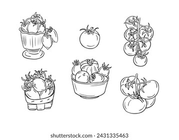Set of hand drawn sketchy isolated tomatoes. Doodle black contour group of vegetables in a bowl, basket and a branch of them on white background. Ideal for coloring pages, tattoo, pattern