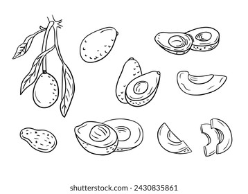 Set of hand drawn sketchy outline avocados. Doodle black contour cut and whole vegetables on white background. Ideal for coloring pages, tattoo, pattern