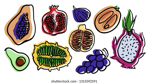 Set of hand drawn sliced exotic fruits: papaya, pomegranate, dragonfruit, fig, kiwano, tangelo, avocado, kumquat, grape. Outline with color in silk printing style. Cartoon doodle on white background.