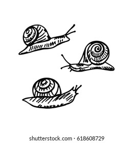 Set of hand drawn snails. Monochrome drawing elements isolated on white background. Vector illustration.