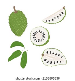 Conjunto de frutos de ciruela extraídos a mano