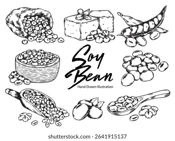 Set of hand drawn soy beans with tofu, spoon and bowl  outline drawing illustration