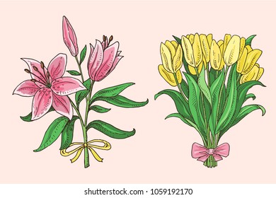 Set of hand drawn spring bouquets: pink lily and yellow tulip. Beautiful flowers doodle illustration