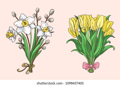 Set of hand drawn spring bouquets yellow tulip, narcissus, willow branches. Beautiful flowers doodle illustration
