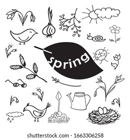Set of hand drawn spring doodle illustration with flowers, plants, birds, bugs and clouds. Sketch vector elements on white background for seasonal design, greeting cards, stickers or posters
