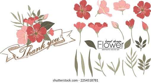 set of hand drawn spring flower vector