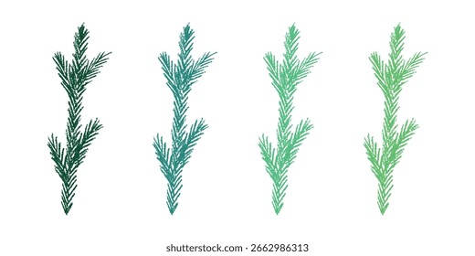 Conjunto de Clipart de rama de abeto dibujado a mano. Ramita de árbol de coníferas doodle. Navidades y elemento de diseño invernal