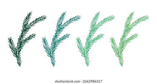 Set of hand drawn spruce branch clipart. Twig of coniferous tree doodle. Christmas and winter design element