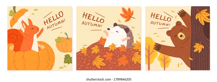 Set of hand drawn square banner, with cute animals showing up in autumn forest, applicable to sale and event promotion