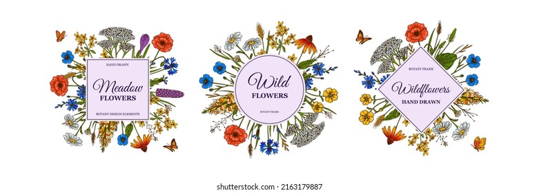 Conjunto de marcos de flores silvestres cuadradas de verano dibujadas a mano con mariposas. Ilustración del vector