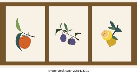 Set of hand drawn still lifes with fruits. Summer, autumn harvest. Minimalistic abstract backgrounds with persimmon, plum, lemon. Organic natural illustrations. Vintage abstract posters.