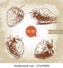 Set of hand drawn strawberries isolated on vintage background.Retro sketch style vector eco food illustration