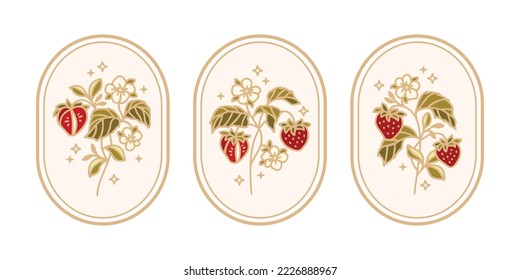 Set of hand drawn strawberry fruit vector logo illustration template design with leaf branch, frame, stars. Strawberry elements for symbol, food label, emblem, organic product stickers, DIY projects