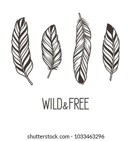 Set of hand drawn stylized bird feathers