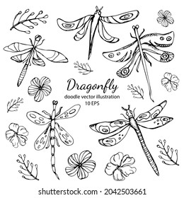 Set of Hand drawn stylized dragonflies outline isolated on white background. Suitable for coloring or illustration for sticker.