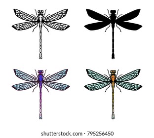 Set of Hand drawn stylized dragonflies outline, silhouette and two different colors isolated on white background. Suitable for coloring or illustration for sticker