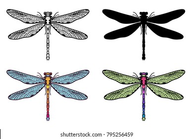 Set of Hand drawn stylized dragonflies outline, silhouette and two different colors isolated on white background. Suitable for coloring or illustration for sticker