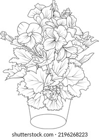 Set of hand drawn stylized outline geranium flower with vase isolated on white background. Highly detailed vector illustration, botanic leaf branch or buds engraved ink art coloring page for adult