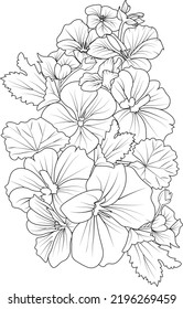 Set of hand drawn stylized outline geranium flower isolated on white background. Highly detailed vector illustration, botanic leaf branch or buds engraved ink art coloring page for children or adult