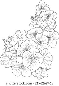 Set of hand drawn stylized outline geranium flower isolated on white background. Highly detailed vector illustration, botanic leaf branch or buds engraved ink art coloring page for children or adult