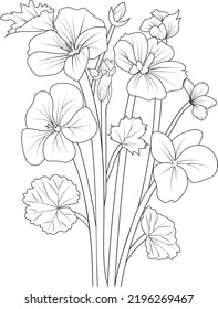 Set of hand drawn stylized outline geranium flower isolated on white background. Highly detailed vector illustration, botanic leaf branch or buds engraved ink art coloring page for children or adult