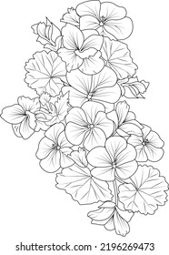 Set of hand drawn stylized outline geranium flower isolated on white background. Highly detailed vector illustration, botanic leaf branch or buds engraved ink art coloring page for children or adult