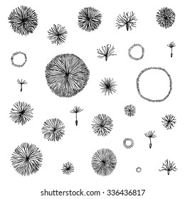Set of hand drawn stylized plant fuzz. Vector illustratoin. 
