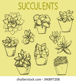 Set of hand drawn succulent plants