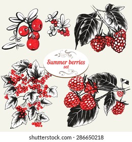 Set of hand drawn summer berries raspberries