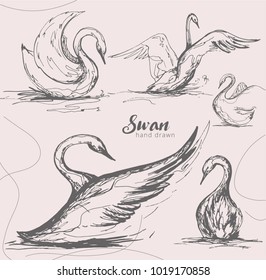 set hand drawn swan