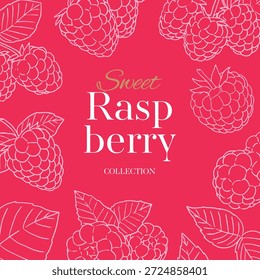 set of hand drawn sweet raspberry line art collection