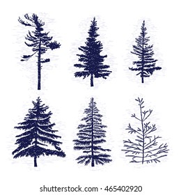 Set of hand drawn textured fir tree vector illustration. Silhouette of the grunge pine trees.