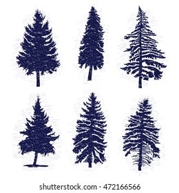 Set of hand drawn textured fir tree vector illustration. Silhouette of the grunge pine trees.