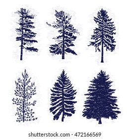 Set of hand drawn textured fir tree vector illustration. Silhouette of the grunge pine trees.