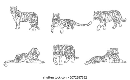 Set Hand Drawn Tigers Sketch Vector Stock Vector (Royalty Free ...