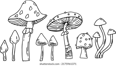 Set of hand drawn toadstool mushrooms. Vector illustration.