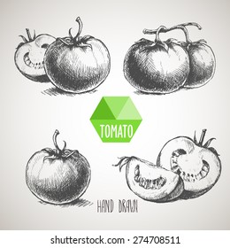 Set Of Hand Drawn Tomato. Organic Eco Food