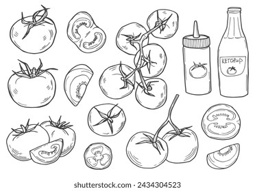 Set hand drawn tomato and sauce. Vector illustration decorative vegetables in doodle style.