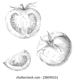 Set of hand drawn tomatoes.