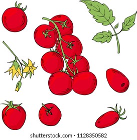 set of hand drawn tomatoes isolated on white background