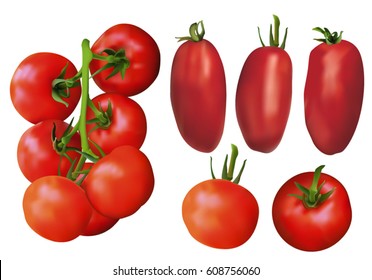 Set of hand drawn tomatoes isolated on white background. 