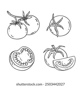 set of hand drawn tomatoes. Tomato in sketch style on a white background. Black and white illustration. Food Vector illustration