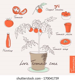  set of hand drawn tomatoes tree